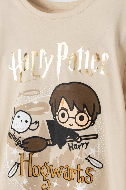 Card slide image -  CAMISETA DE HARRY POTTER CAQUI MANGA LARGA PARA NIÑA